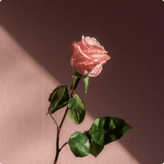 All My Life album art