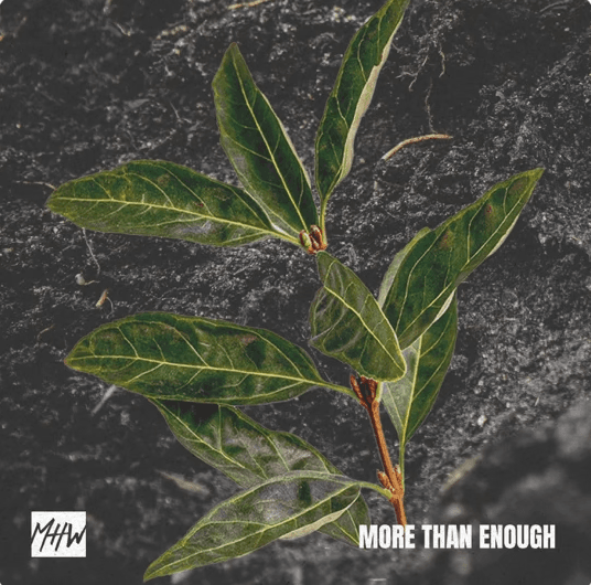 More Than Enough album art